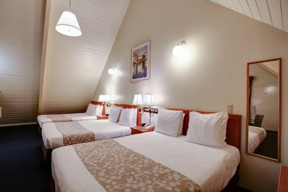 Mini-hôtel Newport Channel 2*